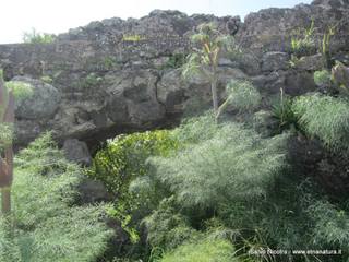 Acquedotto romano Porrazzo